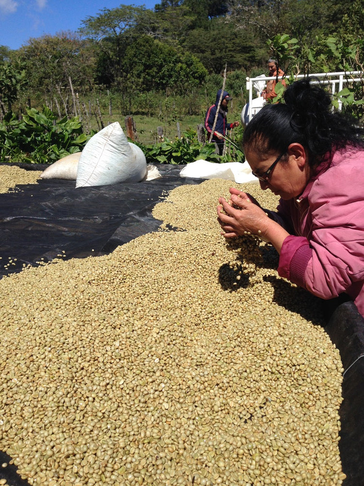 Jose Arnulfo Montiel, El Salvador - Filter