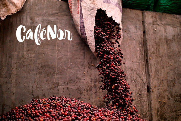 Jose Arnulfo Montiel, El Salvador - Espresso