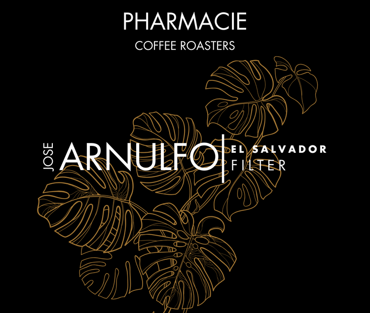 Jose Arnulfo Montiel, El Salvador - Filter