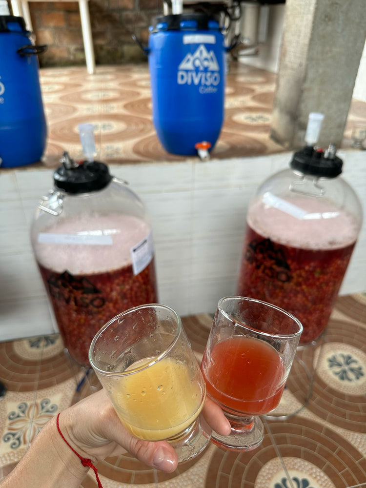 Nestor Lasso, Colombia - Espresso