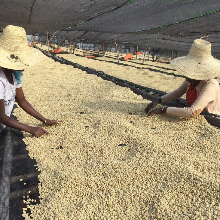 Tullu Demtu, Ethiopia - Espresso