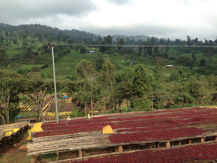 Tullu Demtu, Ethiopia - Filter