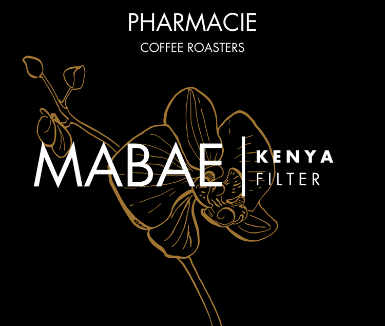 Mabae Peaberry, Kenya - Filter