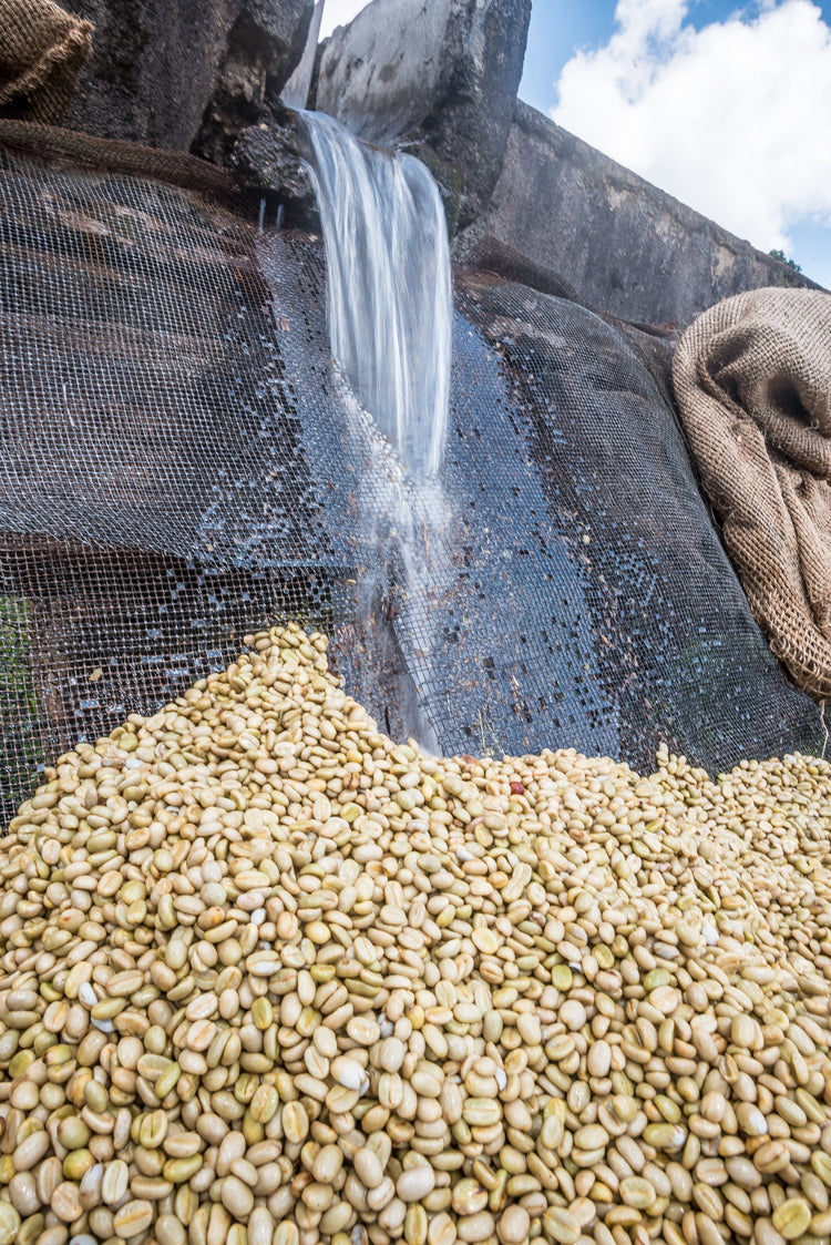 Mabae Peaberry, Kenya - Espresso