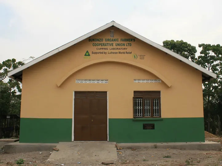 Bukonzo, Uganda- Filter