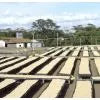 Mondul Estate, Tanzania - Filter