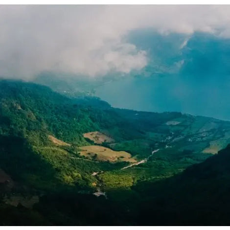 Blue Ayarza, Guatemala - Filter