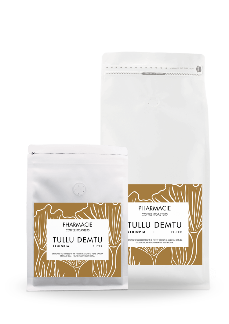 Tullu Demtu, Ethiopia - Filter