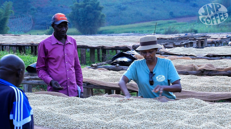 Bahire, Burundi - Espresso