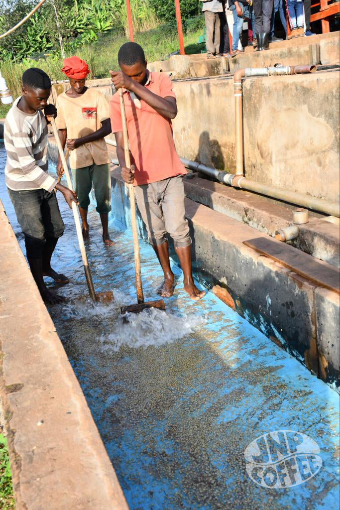 Bahire, Burundi - Filter