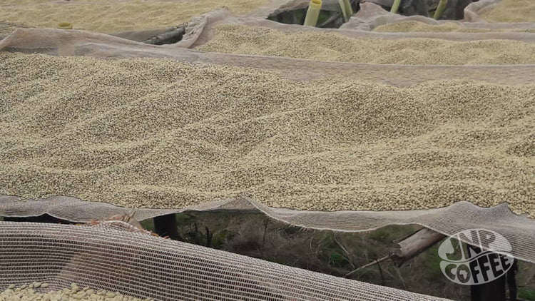 Bahire, Burundi - Filter