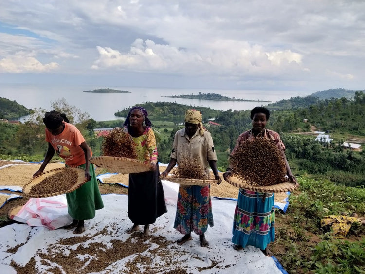 Bugoyi Patrick, Rwanda - Espresso