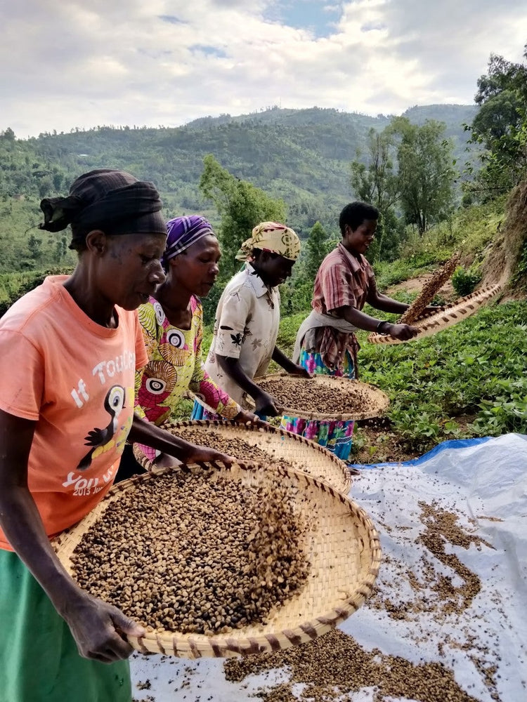 Bugoyi Patrick, Rwanda - Espresso