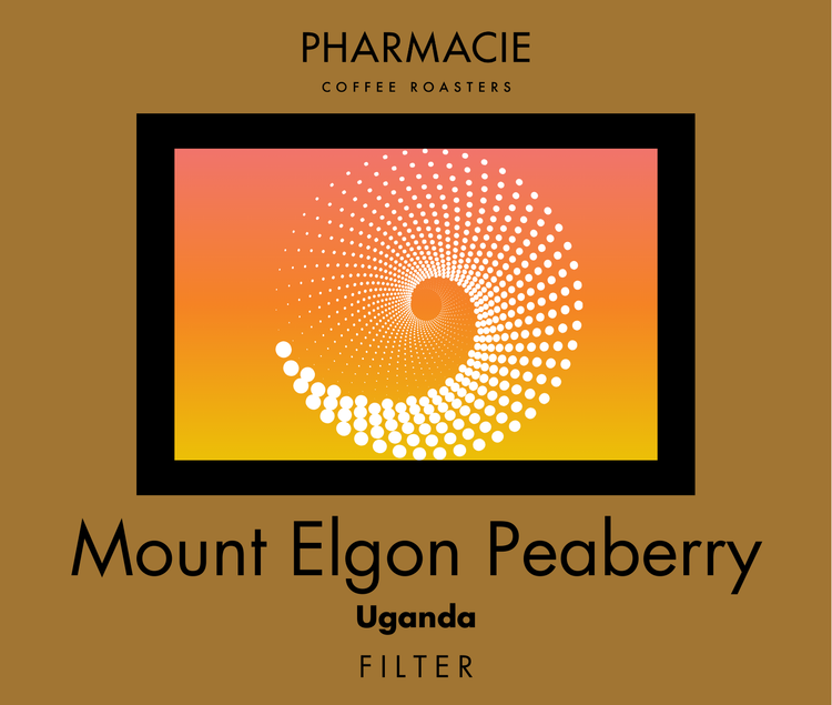 Mount Elgon Peaberry, Uganda - Filter