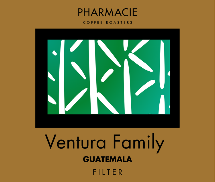 Ventura Family, Guatemala - Filter