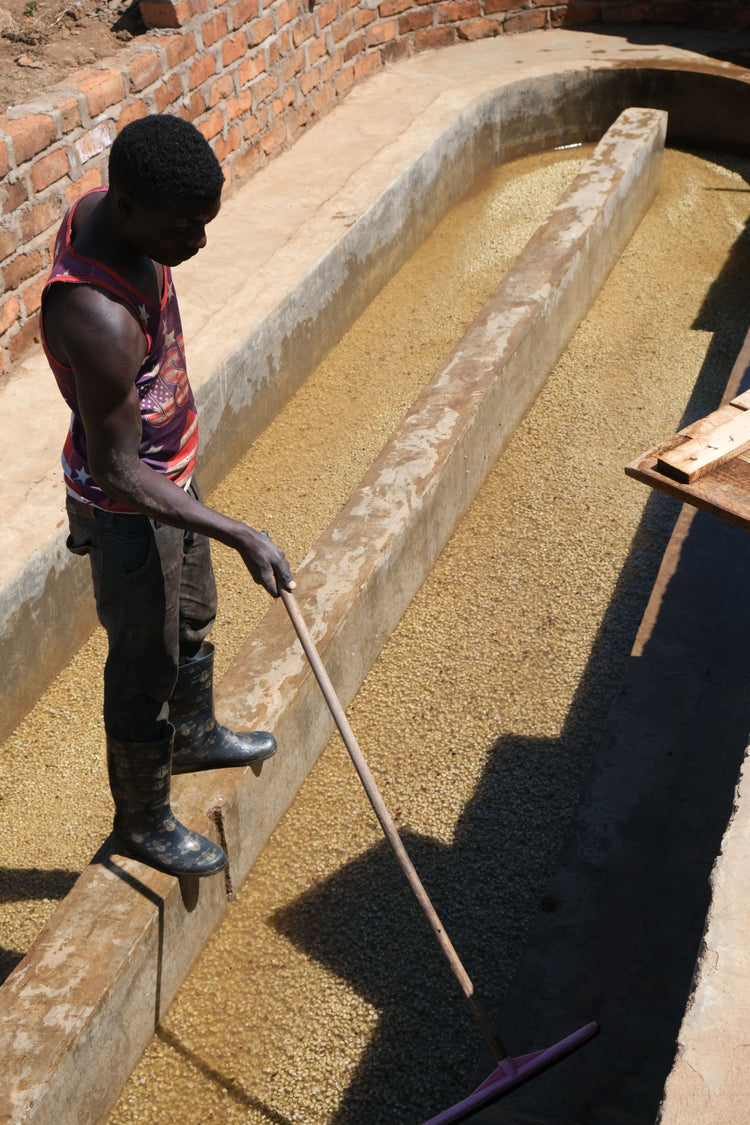 Nsoga, Tanzania - Espresso