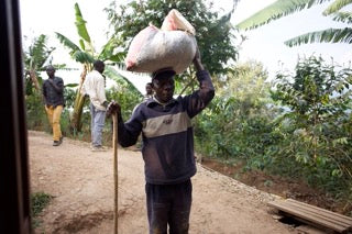 Migoti Hill Lot 14, Burundi - Filter