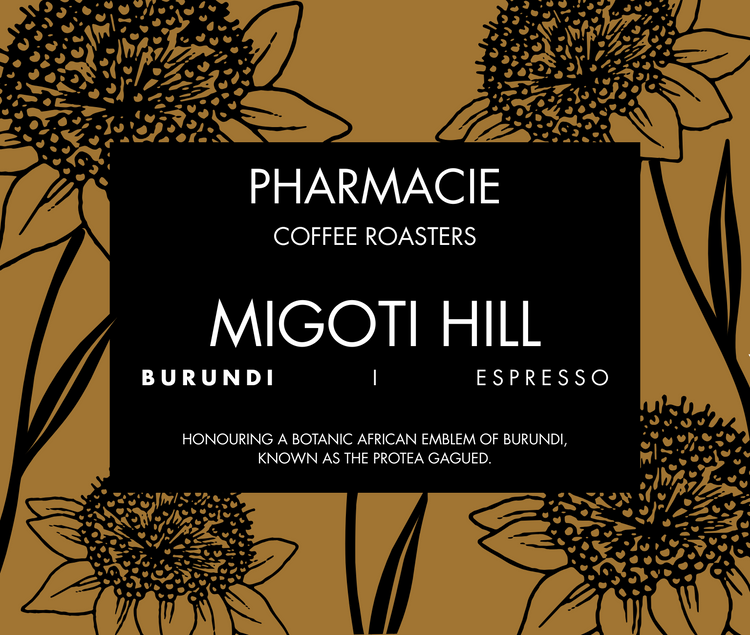 Migoti Hill Lot 1, Burundi - Espresso