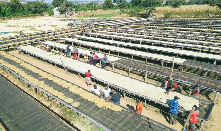 Nsoga, Tanzania - Filter