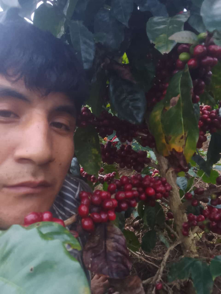 Urilser Oliveira, Peru - Espresso
