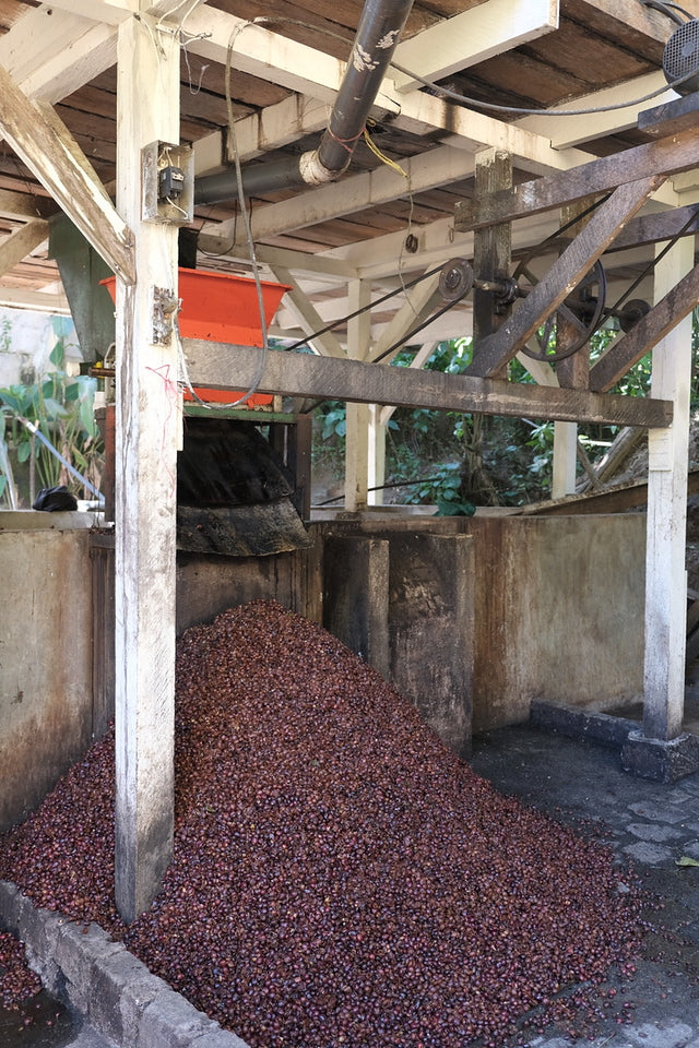 La Esperanza, Nicaragua - Filter roast