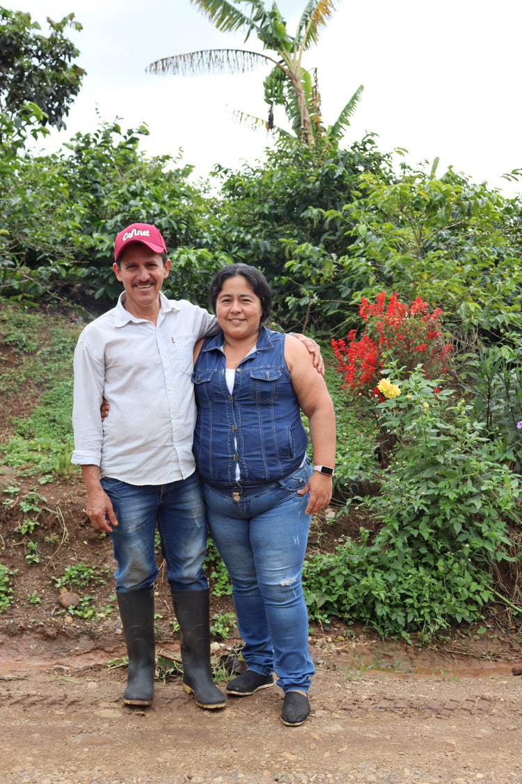Gesha, Luis Anibal Calderon, Colombia — Filter Roast